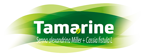 Logo de Tamarine Fitoterápico